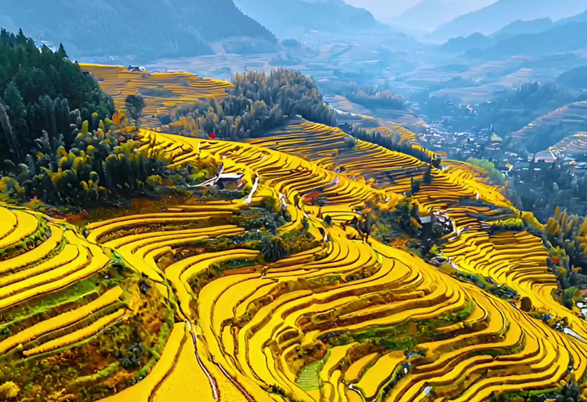 guilin les attractions longjida568