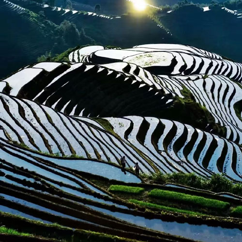 Guilin 4 jours longji2