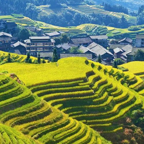 Zhangjiajie Guilin Guangzhou circuit prive ljtt8cd1